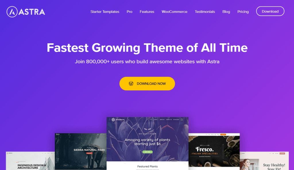 astra Woocommerce Theme How to Create WordPress e-Commerce Website in Nigeria - The 20 Min. Missing Manual